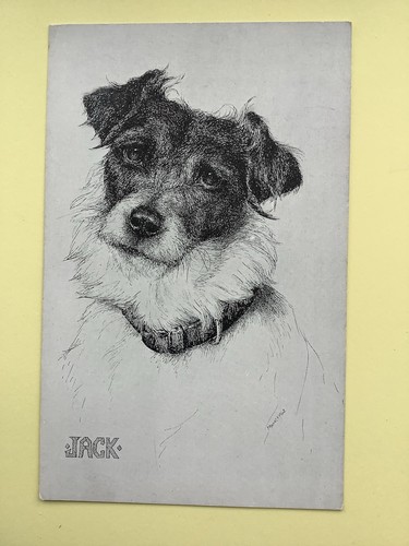 Jack russell artist - jack,